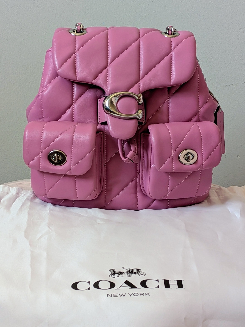 Quilted Tabby Leather Backpack In Fuschia With Silver Hardware 💖💕🩷 - Picture 2 of 8